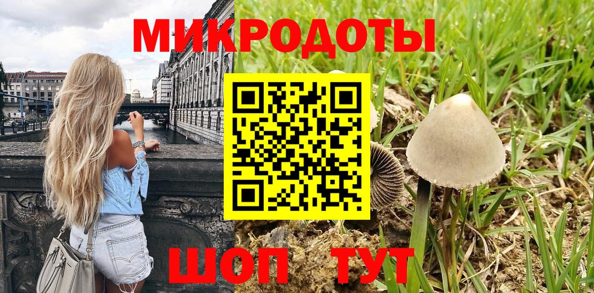 дарнет шоп  Вход с VPN  Кимовск  Галлюциногенные грибы GOLDEN TEACHER 